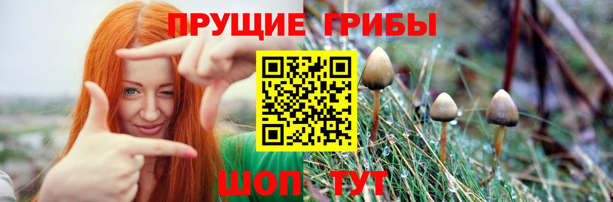 Кушва  Псилоцибиновые грибы ЛСД  Вход с VPN  Галлюциногенные грибы MAGIC MUSHROOMS 